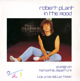 Robert Plant - In The Mood