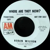 Robin Wilson - Where Are They Now?