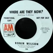 Robin Wilson - Where Are They Now?