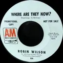 7inch Vinyl Single - Robin Wilson - Where Are They Now?