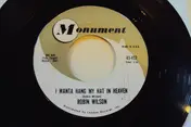 Robin Wilson - The Black Eyed Gypsy