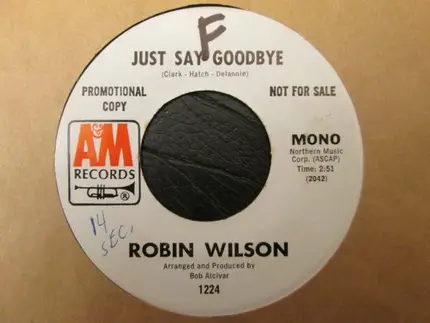 Robin Wilson - Just Say Goodbye