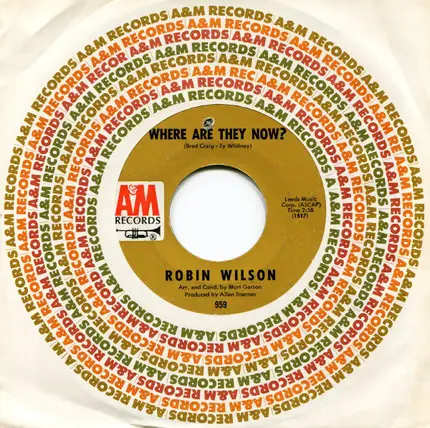 Robin Wilson - Where Are They Now? / A House Is Not A Home