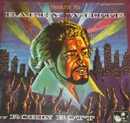 Robin Bott / Beatt International Orchestra - Tribute To Barry White