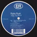 12inch Vinyl Single - Robin Rush - After The Storm