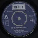 7inch Vinyl Single - Robin Sarstedt - Just Tell Her Jim Said Hello