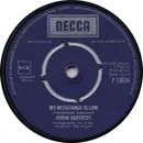 7inch Vinyl Single - Robin Sarstedt - My Resistance Is Low