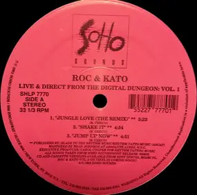 Roc & Kato - Live And Direct From The Digital Dungeon: Vol. 1