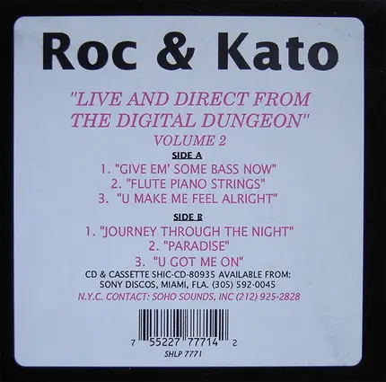 Roc & Kato - Live & Direct From The Digital Dungeon: Vol. II