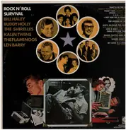 Rock N Roll Survival - Rock N Roll Survival
