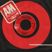 7inch Vinyl Single - Rock Goddess - I Didn't Know I Loved You (Till I Saw You Rock And Roll) - company sleeve, promo