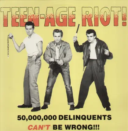 Rock'n'Roll Sampler - Teen-Age Riot