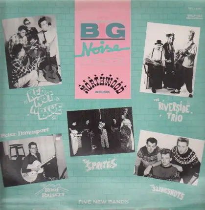 Rock'n'Roll Sampler - Big Noise From Northwood Records