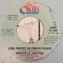 7inch Vinyl Single - Rockville Junction - Lord, Protect Me From My Friends