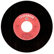 7inch Vinyl Single - Rocky Der Irokese - Ich Such'n Job