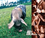 Rocola Bacalao - Mas Aniñados Que Nunca