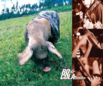 Rocola Bacalao - Mas Aniñados Que Nunca