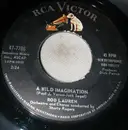 7inch Vinyl Single - Rod Lauren - A Wild Imagination