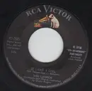 7inch Vinyl Single - Rod Lauren - If I Had A Girl / No Wonder - Original US. Picture Sleeve