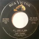 7inch Vinyl Single - Rod Lauren - If I Had A Girl / No Wonder