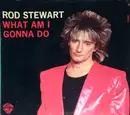 7inch Vinyl Single - Rod Stewart - What Am I Gonna Do / Dancin' Alone