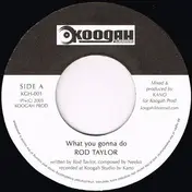 Rod Taylor - What You Gonna Do