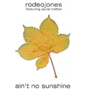 12inch Vinyl Single - Rodeo Jones Featuring Jayne Tretton - Ain't No Sunshine