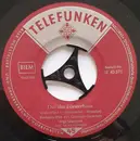 7inch Vinyl Single - Rodgers-Duo , Sigi Stenford Und Seine Solisten - Das Alte Försterhaus / Kathrein