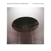 Rodrigo Amado Motion Trio - The Freedom Principle