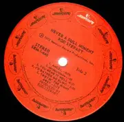 LP - Rod Stewart - Never A Dull Moment