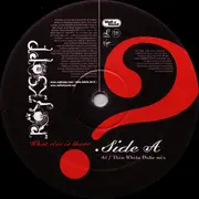 12inch Vinyl Single - Röyksopp - What Else Is There ?