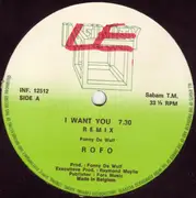 12inch Vinyl Single - Rofo - I Want You (Remix)