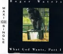 CD Single - Roger Waters - What God Wants, Part I