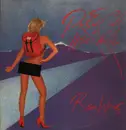 LP - Roger Waters - The Pros And Cons Of Hitch Hiking - Inserts