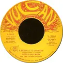 7inch Vinyl Single - Roger Hallmark And The Thrasher Brothers - A Message To Khomeini