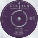 7inch Vinyl Single - Roger James - Riding Free