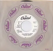 7inch Vinyl Single - Roger McGuinn / Chris Hillman - Love Me Tonight (Mono) / Love Me Tonight (Stereo)