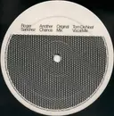 12'' - Roger Sanchez - Another Chance