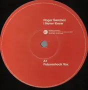 12'' - Roger Sanchez - I Never Knew