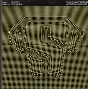 12'' - Roger Sanchez - You Can't Change Me