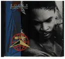 CD - Roger - Bridging The Gap