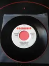 7'' - Roger McGuinn's Thunderbyrd - American Girl