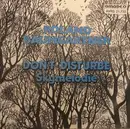7inch Vinyl Single - Roland Baumgartner - Don't Disturb / Skymelodie