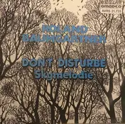 Roland Baumgartner - Don't Disturb / Skymelodie