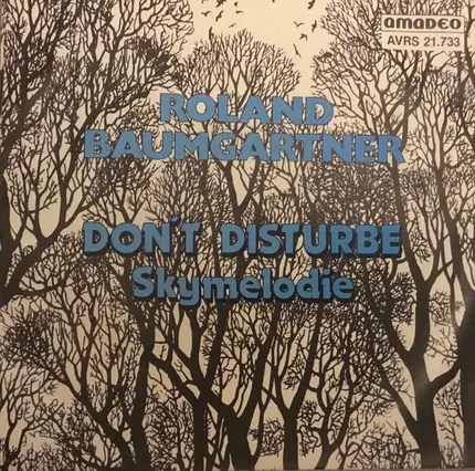 Roland Baumgartner - Don't Disturb / Skymelodie