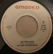 7inch Vinyl Single - Roland Baumgartner - Don't Disturb / Skymelodie