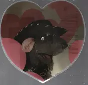 roland rat superstar - Love Me Tender