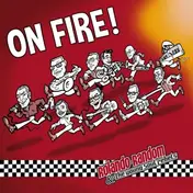 Rolando Random & The Young Soul Rebels - On Fire