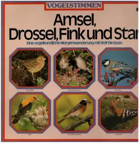Rolf Dircksen - Vogelstimmen - Amsel, Drossel, Fink Und Star