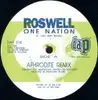 12'' - Roswell - One Nation